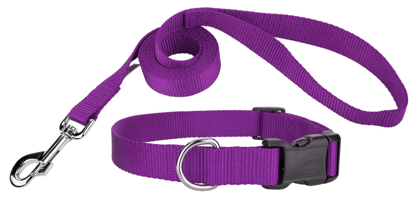 Buy Dog Leash Online